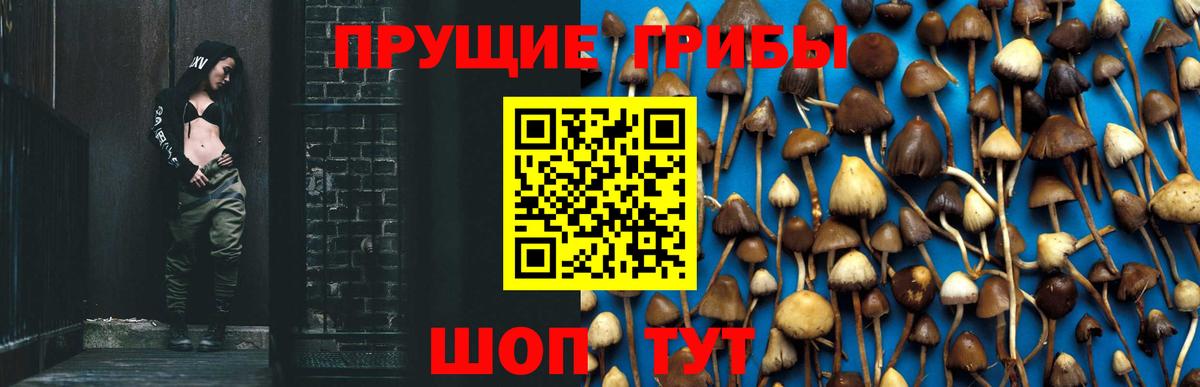 Галлюциногенные грибы Cubensis  Вход с VPN  Бахчисарай 